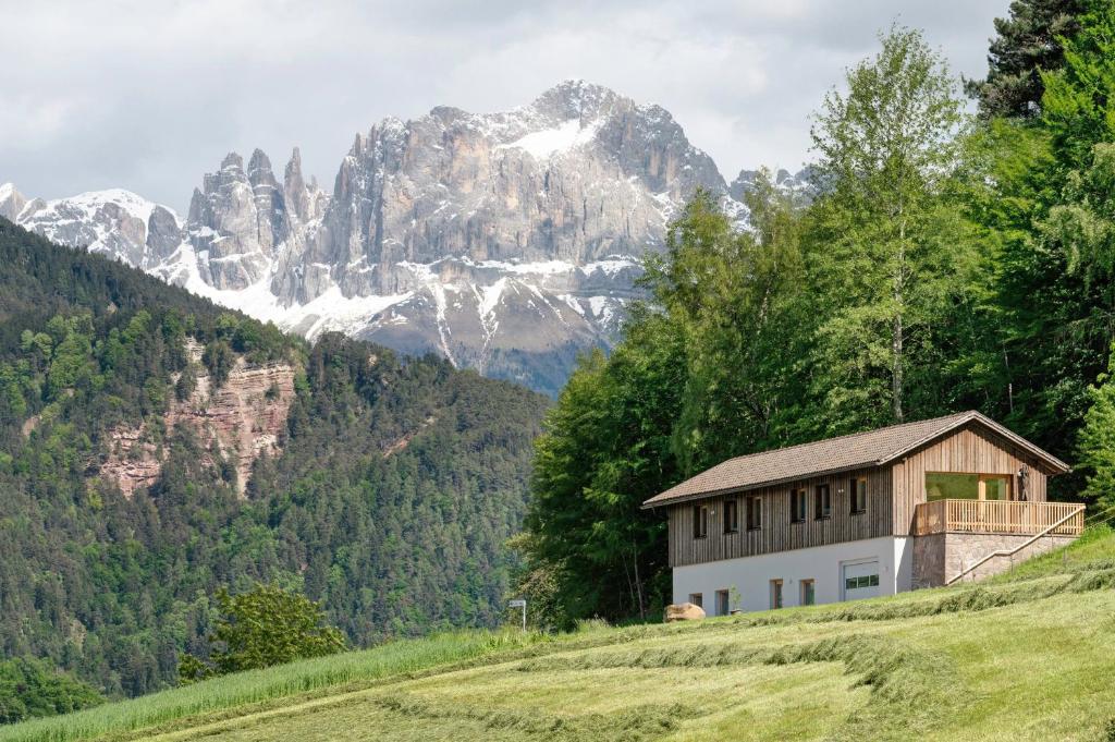 a house on a hill with mountains in the background at Höllerhof in Cornedo all'Isarco