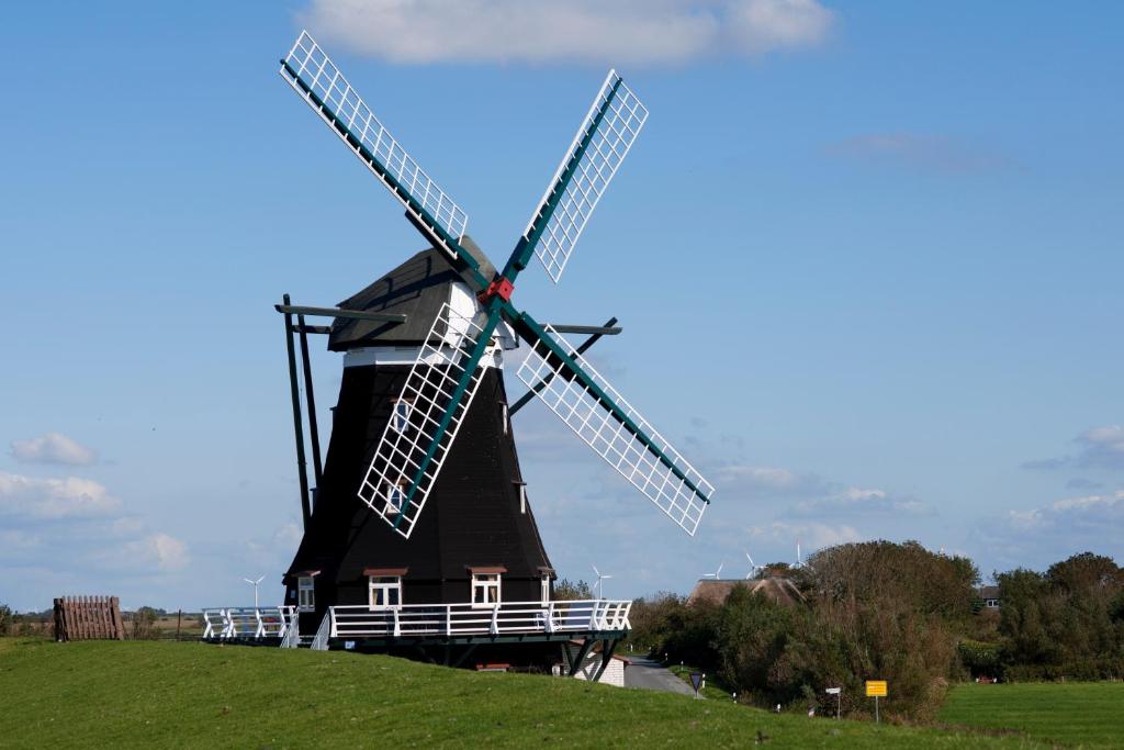 a windmill sitting on top of a green hill at Fewo Nordermühle in Pellworm