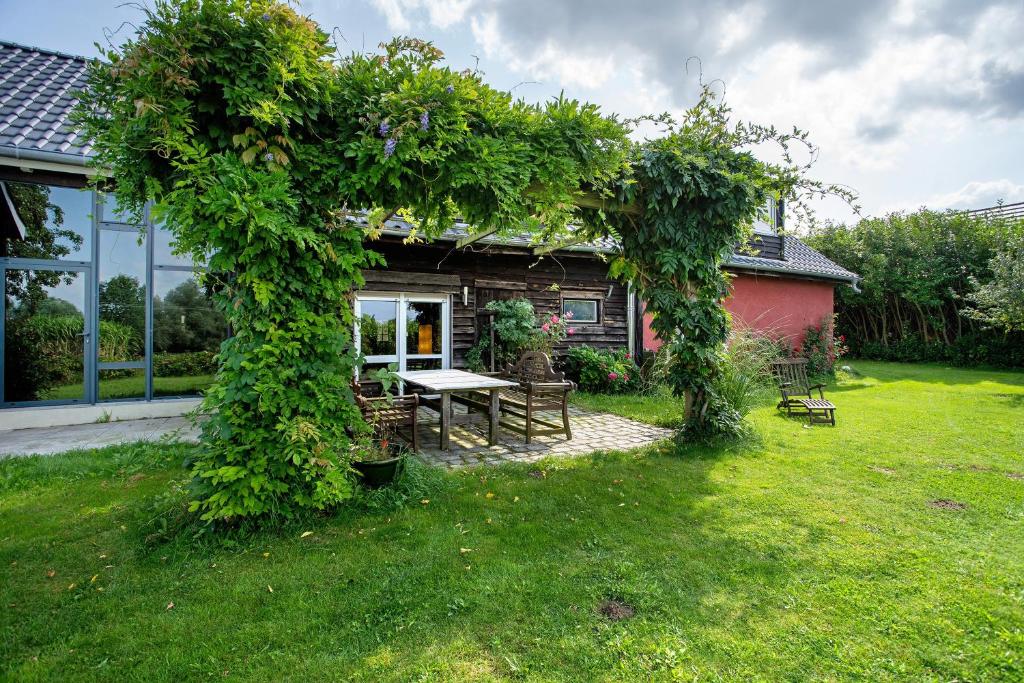 a garden with a picnic table in the yard at Fereienhaus Usedom Achterland in Dewichow