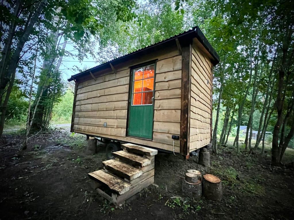New Cabin on Off-Grid Homestead