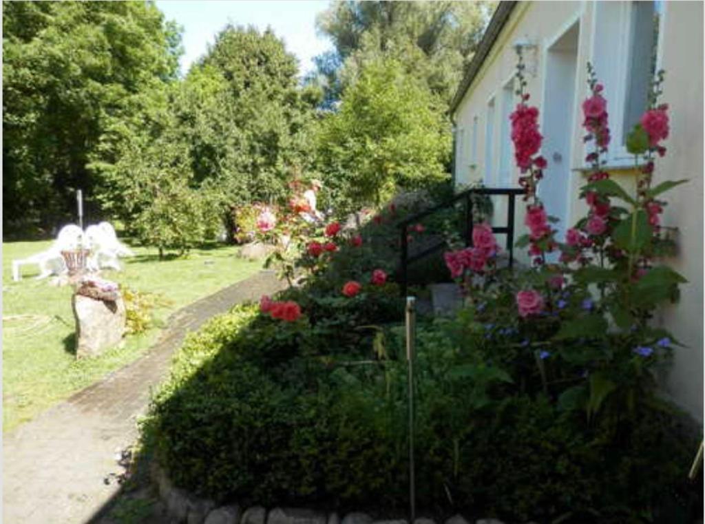 a garden with flowers on the side of a house at Heidtschmidhof Abendsonne in Wolgast