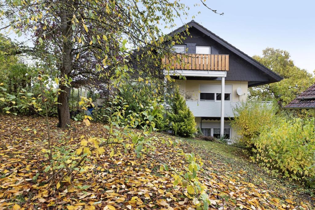 a house on a hill with leaves on the ground at Ferienwohnungen Alt in Naumburg