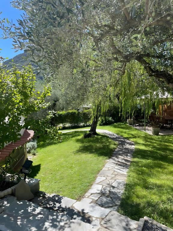 a garden with a tree in the middle of a lawn at Salice Felice in Ventimiglia
