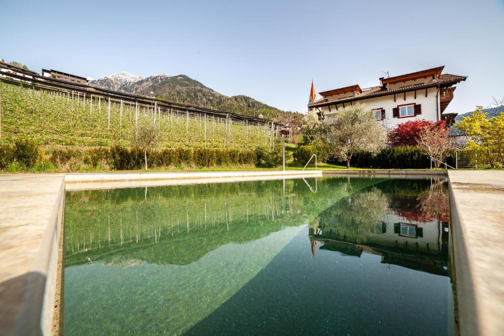 a pool of water in front of a building at Gasserhof Ferienwohnung Jonagold in Caines
