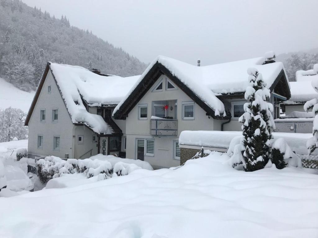 a house covered in snow with a tree at Ferienwohnung Ella, 95qm, Terrasse in Todtnau