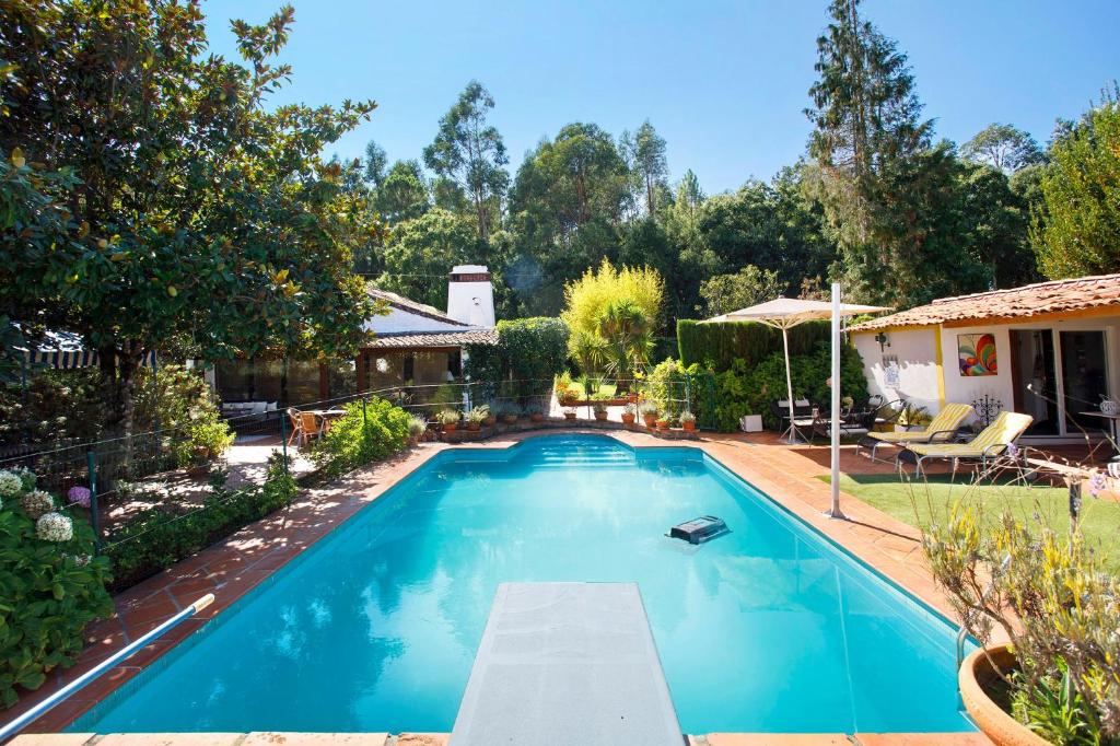 an image of a swimming pool in a yard at Casa do Campo Dornes Dois in Paio Mendes
