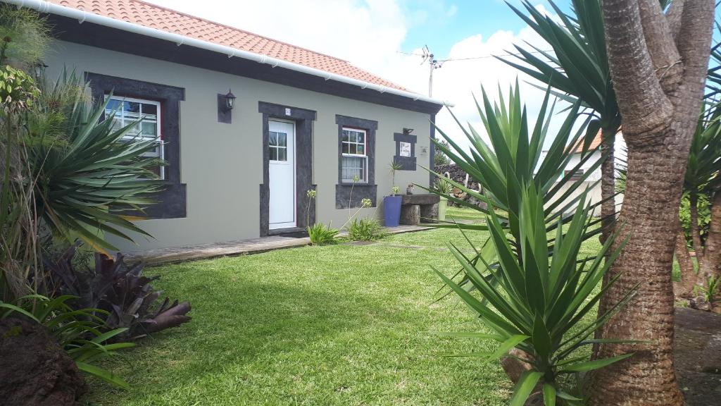 a white house with a yard with palm trees at De Baixo Da Ponte in Biscoitos