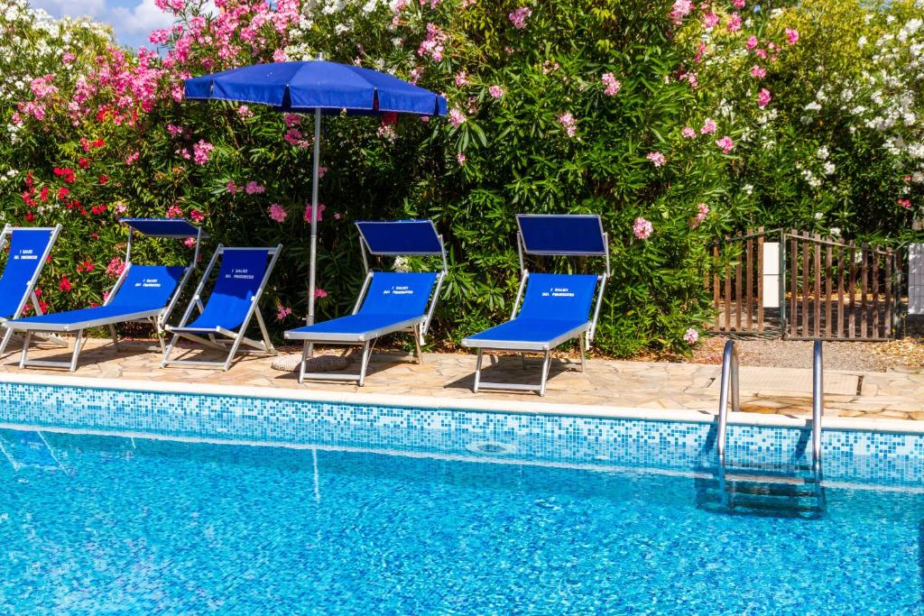 a group of chairs and an umbrella next to a swimming pool at Bilo Erica in Marina di Grosseto