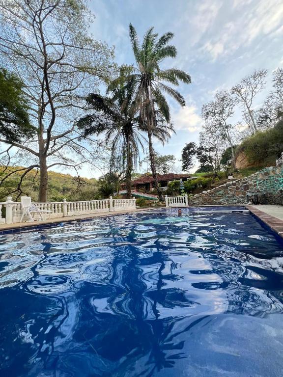 a pool with blue water with a palm tree in the background at Alegría Lodge in Curití