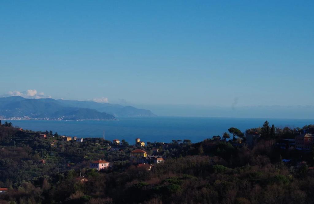 a view of a city and the ocean at Monolocale Fattorialmare Viola in Camogli