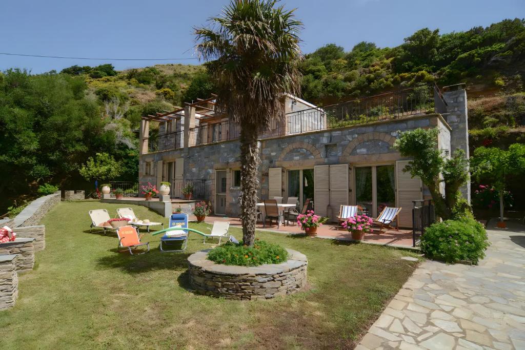 a house with a palm tree in a yard at Vitali River House Andros in Andros