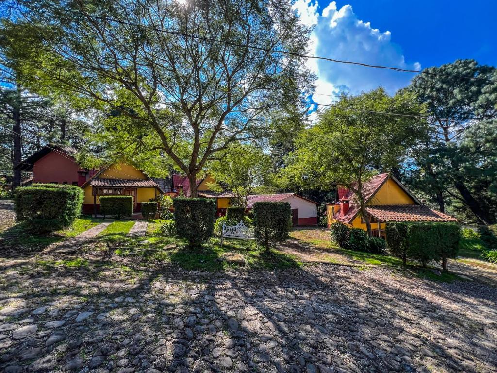 ein Haus mit einem Baum mitten im Garten in der Unterkunft Cabañas Lupita 22 in Mazamitla