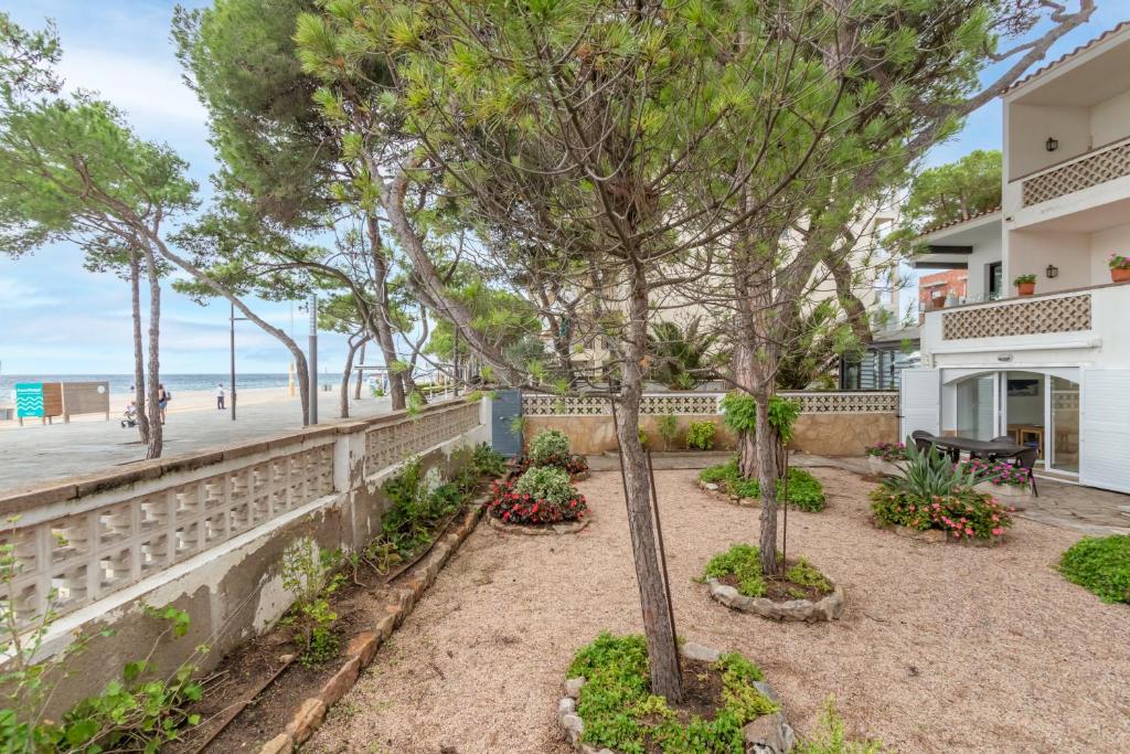 a garden with trees and flowers next to the beach at Planta Baixa in Platja d'Aro
