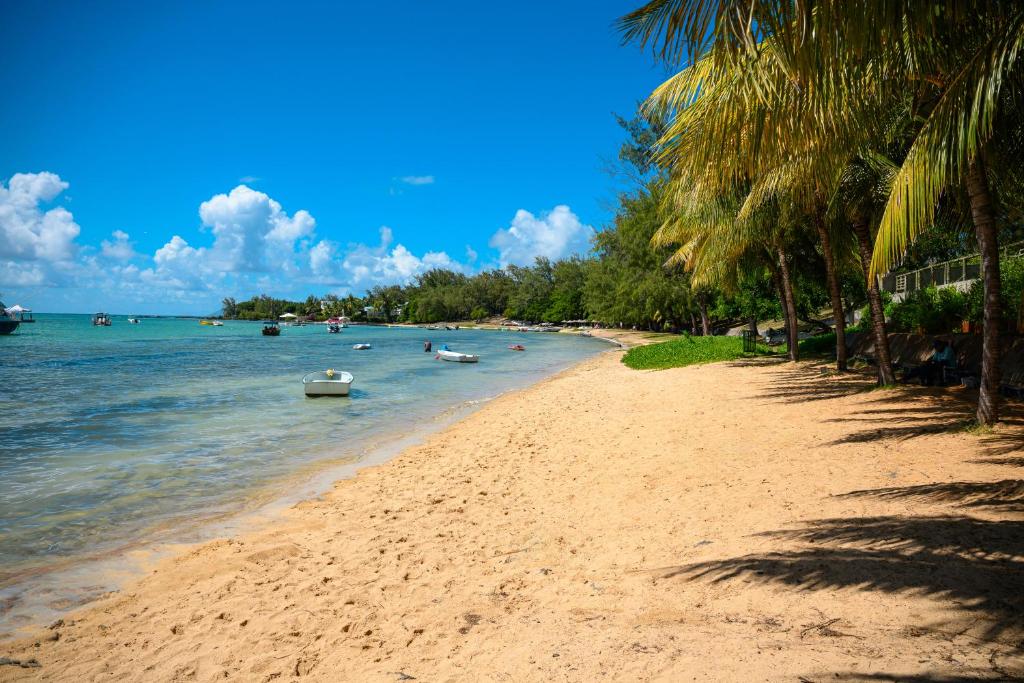a beach with palm trees and boats in the water at Beachfront Duplex with Estate Pool in Bain Boeuf