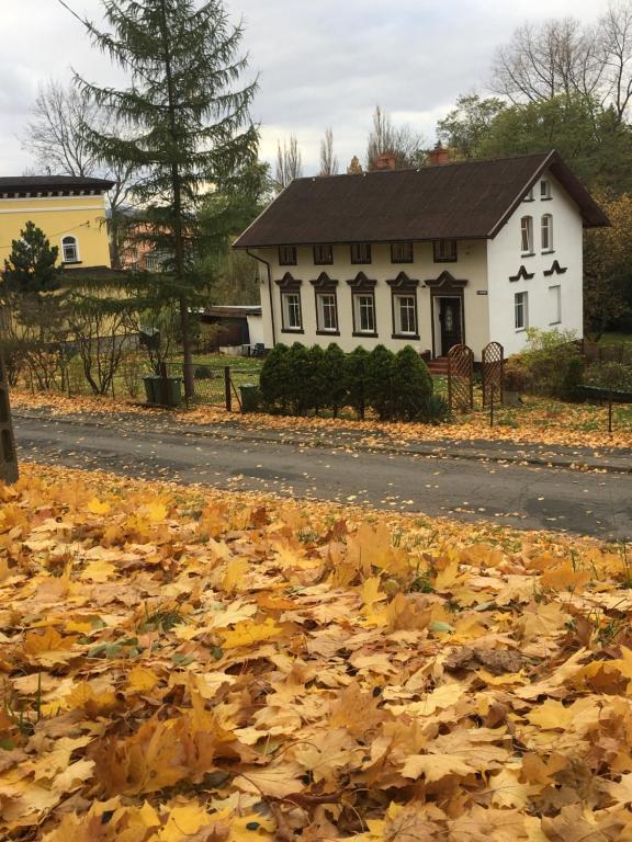 a house with a pile of leaves on the road at Apartament Halina in Lądek-Zdrój