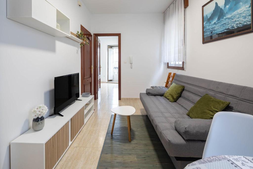 a living room with a couch and a tv at Valle Inclan in Villanueva de Arosa