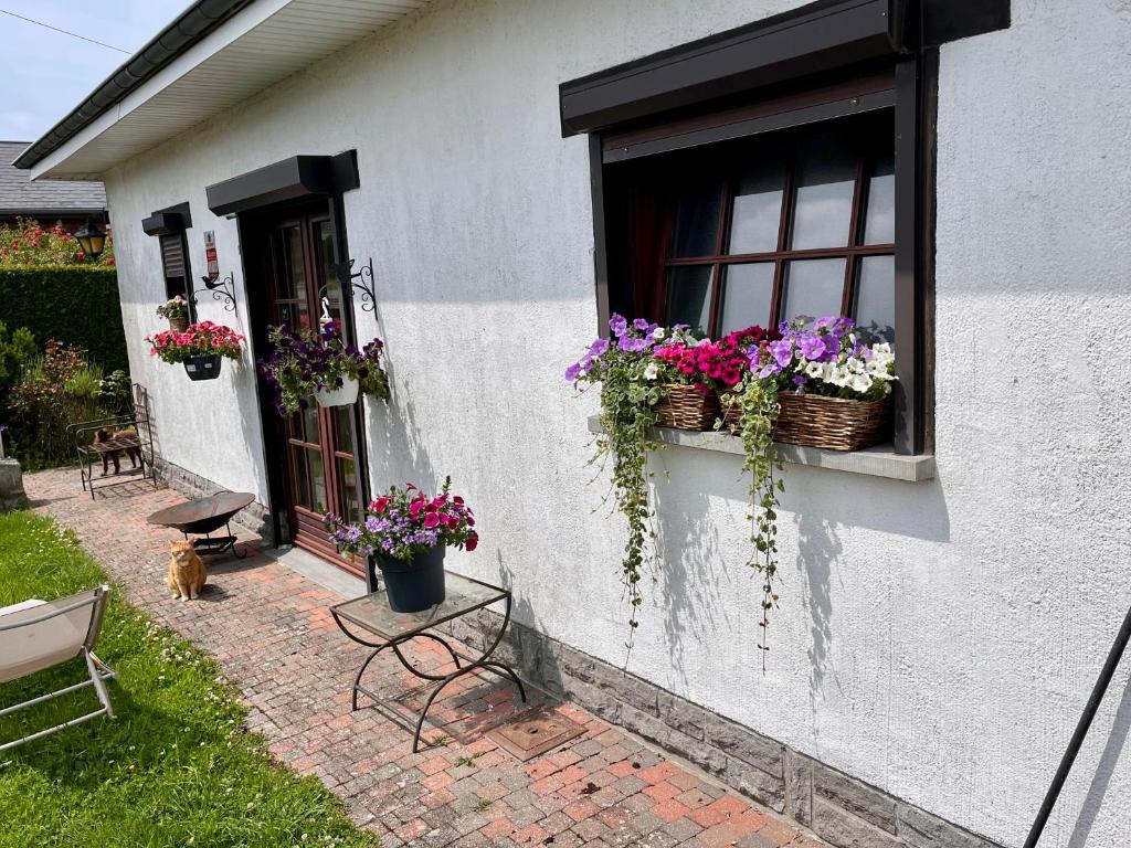 a window with baskets of flowers on a house at Chez Tantine Nadine in Couvin