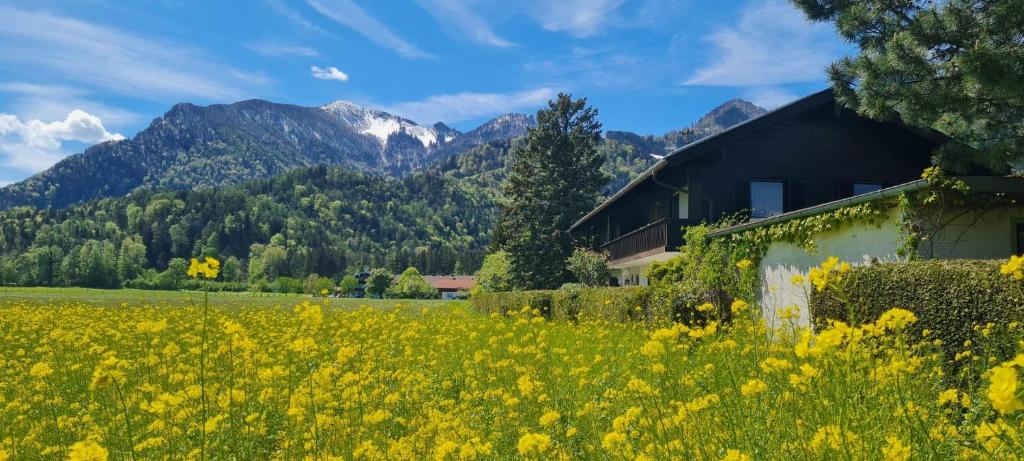 a house in a field with mountains in the background at Ferienwohnung 3 in Grassau