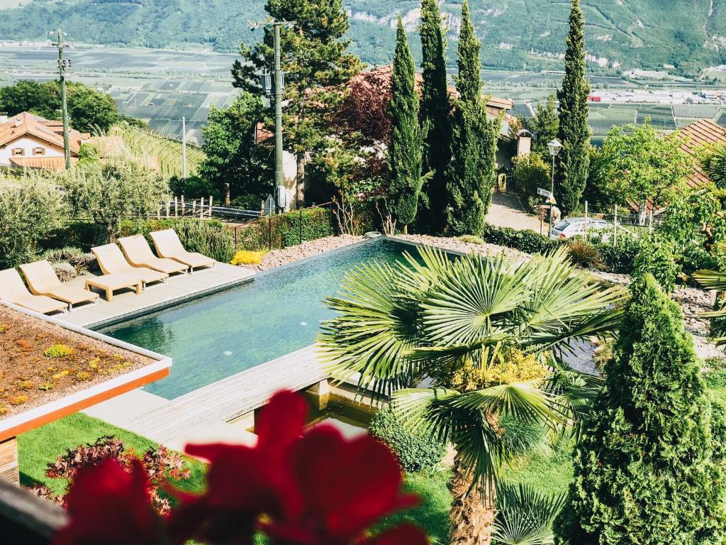a swimming pool with two chairs and a palm tree at Kraidlhof Designapartment Isabel in Cortaccia