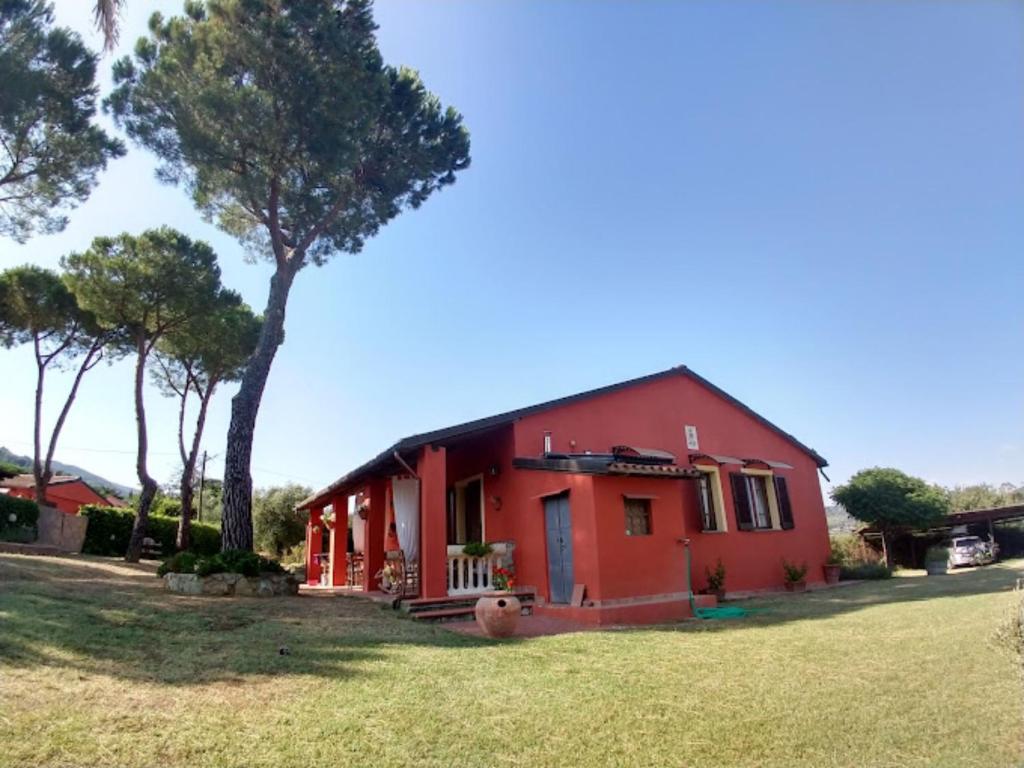a red house with a tree in front of it at Agriturismo Debbione Maro' in Suvereto