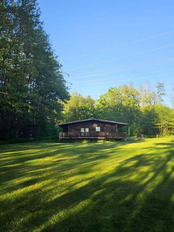 a house in the middle of a grass field at Weiherhüttla in Untersteinach