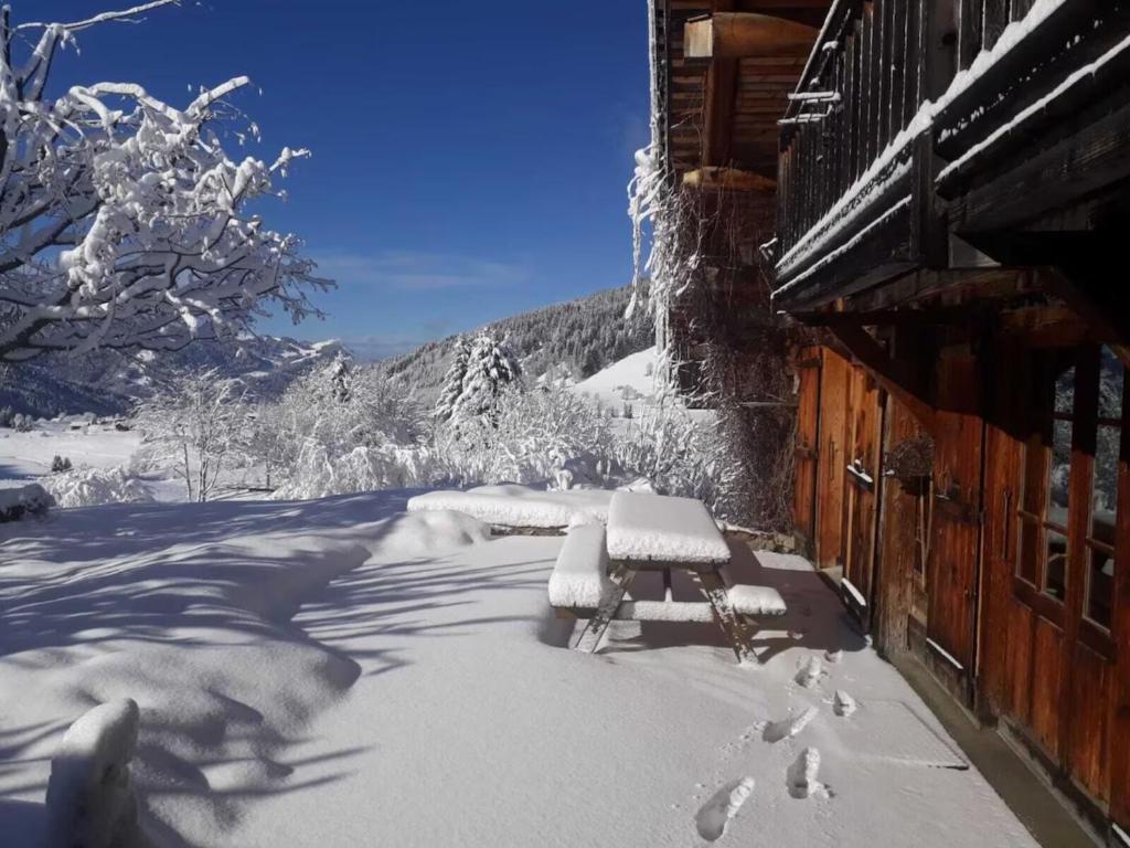 Le vieux madrier - Chalet
