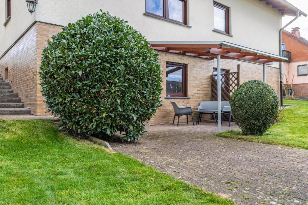 a large green bush in front of a house at Am Twistesee 1 Souterraint in Wetterburg