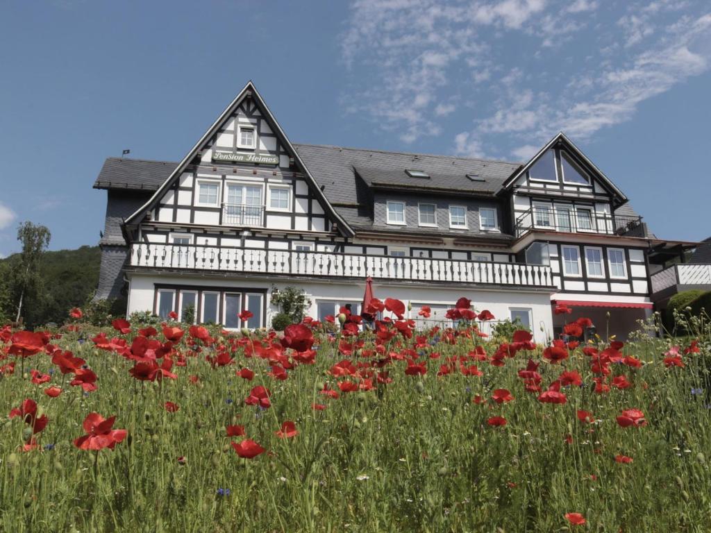a field of red poppies in front of a house at Rübenkämpers Ferienwohnungen in Schmallenberg