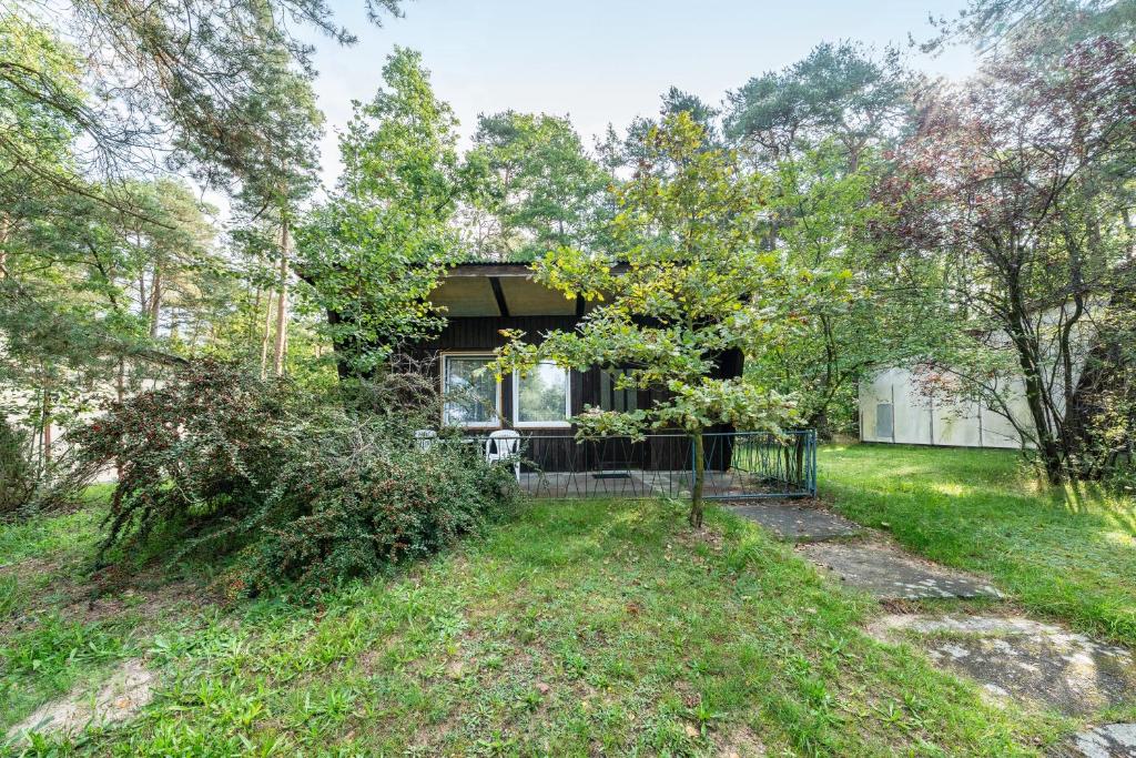a house in the middle of a yard at Bungalow 9 - Kimbucht in Reichendorf