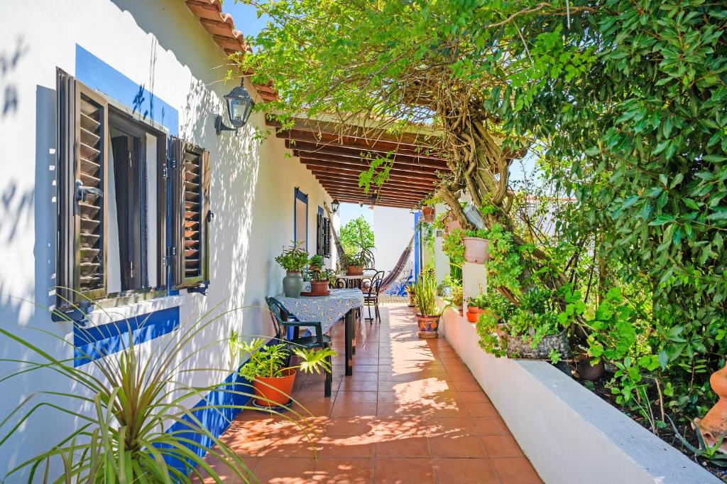 ein Innenhof eines Hauses mit einem Tisch und Pflanzen in der Unterkunft Monte da Bárbara in Algoceira