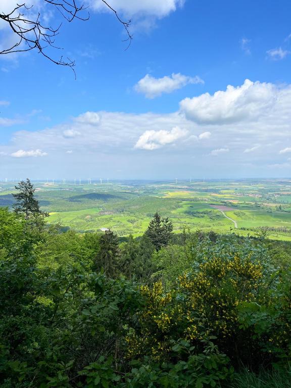 a view of a green field with trees in the foreground at Gemütliche Einliegerwohnung in Imsbach