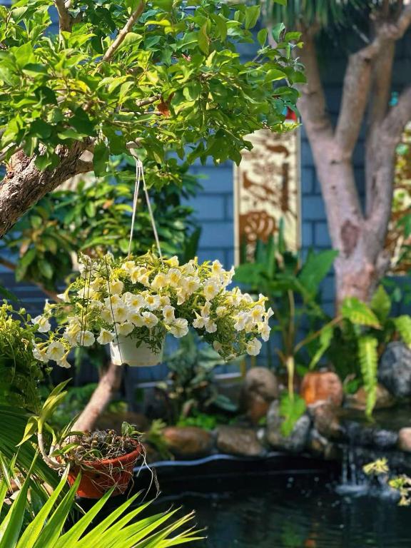 a hanging plant with white flowers in a garden at Sam's homestay in Ấp Bình Hưng