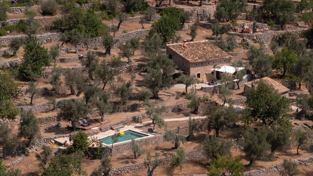 an aerial view of a house with a pool and trees at Las Rocas in Fornalutx