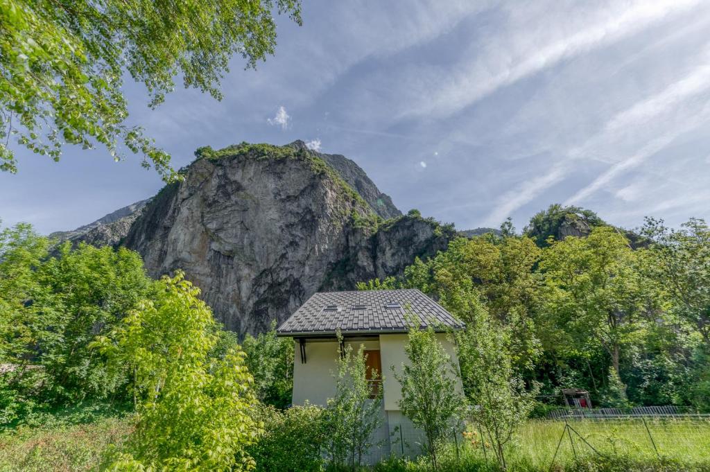 Les Lys Orangés