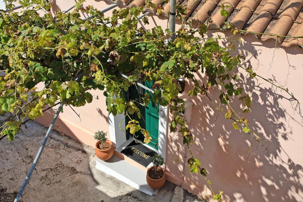 a window with potted plants on a window sill at Villa Drosia in Volímai