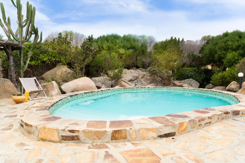 a swimming pool in a yard with a cactus at Belvedere in San Teodoro