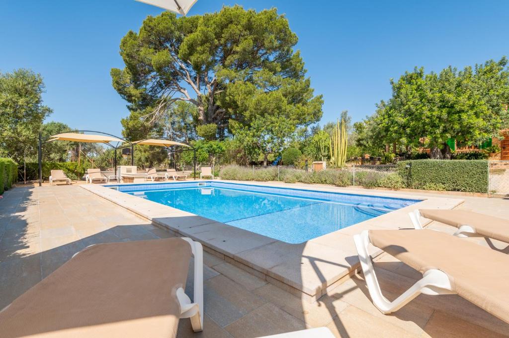 a swimming pool with two lounge chairs and a swimming pool at Els Garroverets in Binissalem