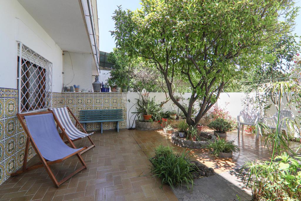 a patio with a chair and a tree and a bench at Casa Tangerina in Tavira
