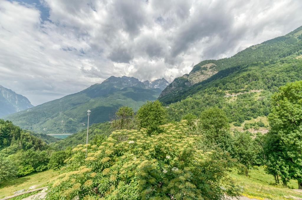 a view of a valley with mountains and trees at Chambre d'hôte Gite Passoud in Oz