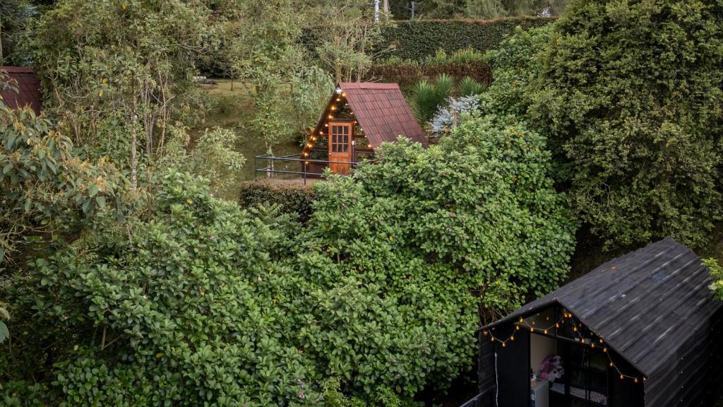 an overhead view of a house in the midst of trees at Chalets en Santa Elena en medio del Bosque in Medellín