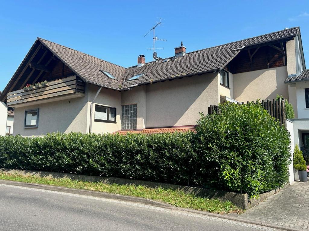 a house on the side of a street at Ferienwohnungen Haus Birgit in Günzgen