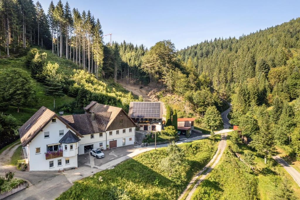 an aerial view of a house in the mountains at Brumichelhof in Bad Peterstal-Griesbach