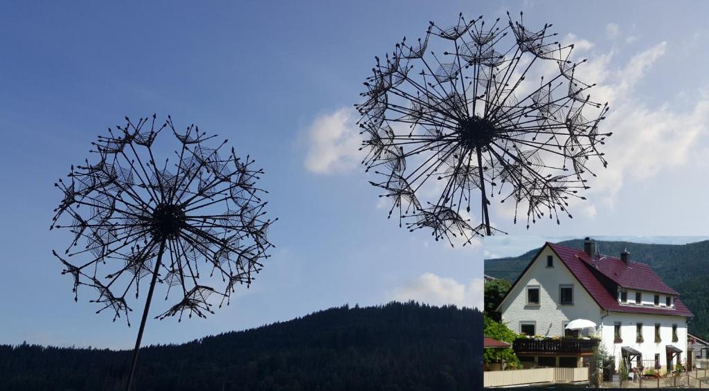 two pictures of a dandelion in front of a house at Ferienwohnung Pusteblume in Forbach