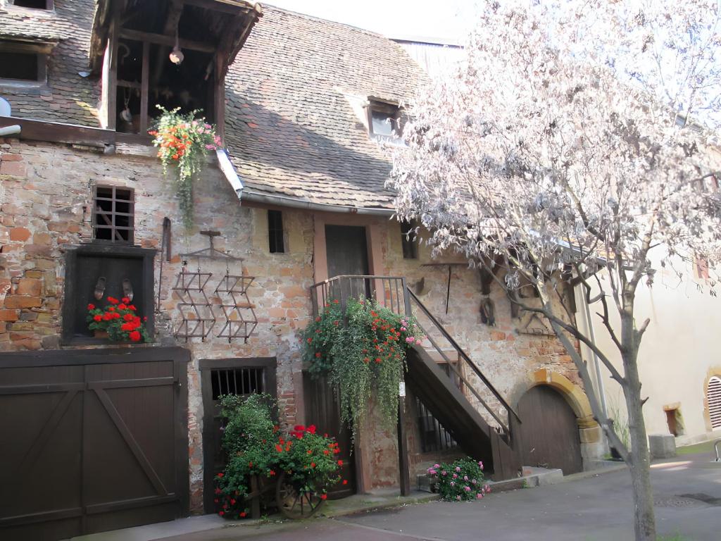 Cour Du Weinhof à Colmar – photo 15