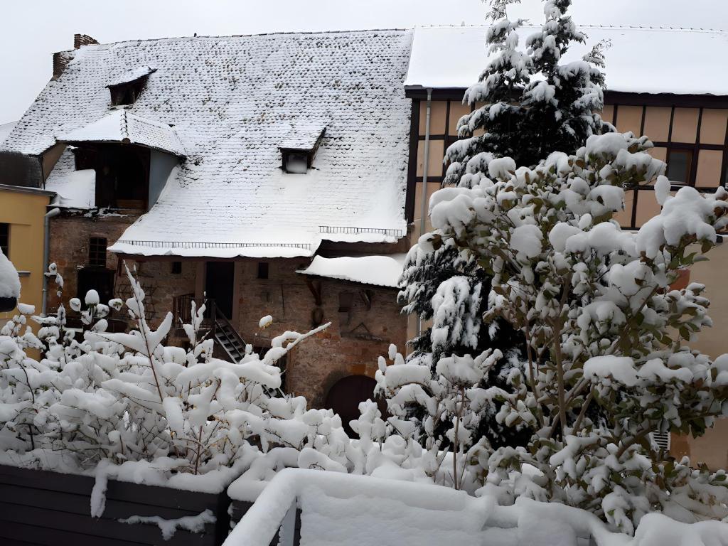 Cour Du Weinhof à Colmar – photo 33