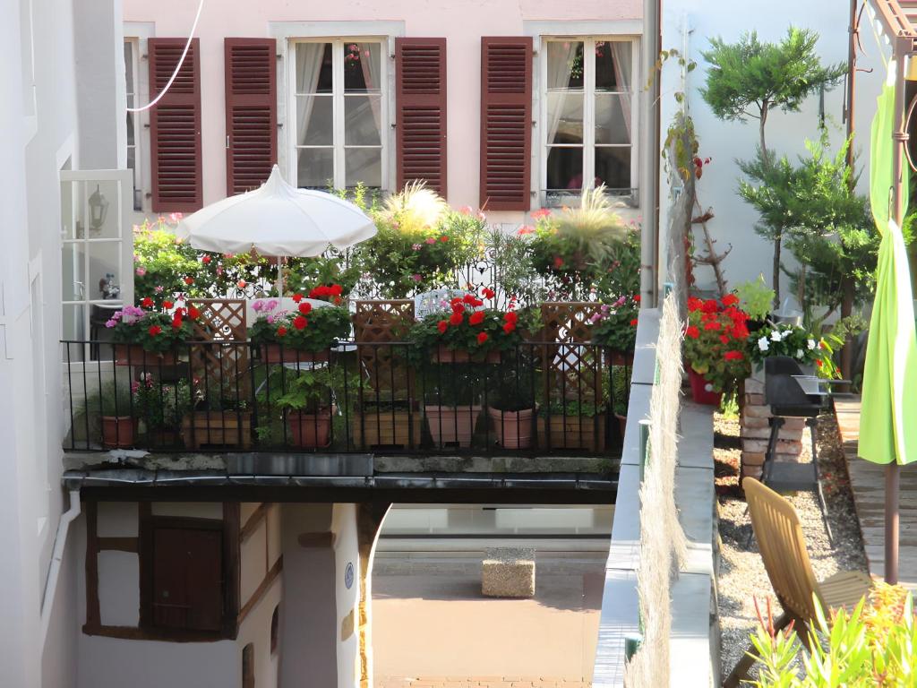 Cour Du Weinhof à Colmar – photo 14