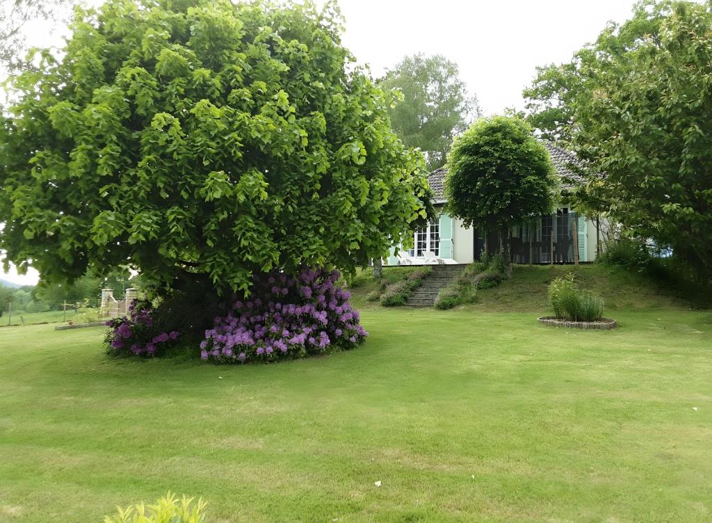 a house with a tree with purple flowers in a yard at Gîte de Lonzanges in Lanobre