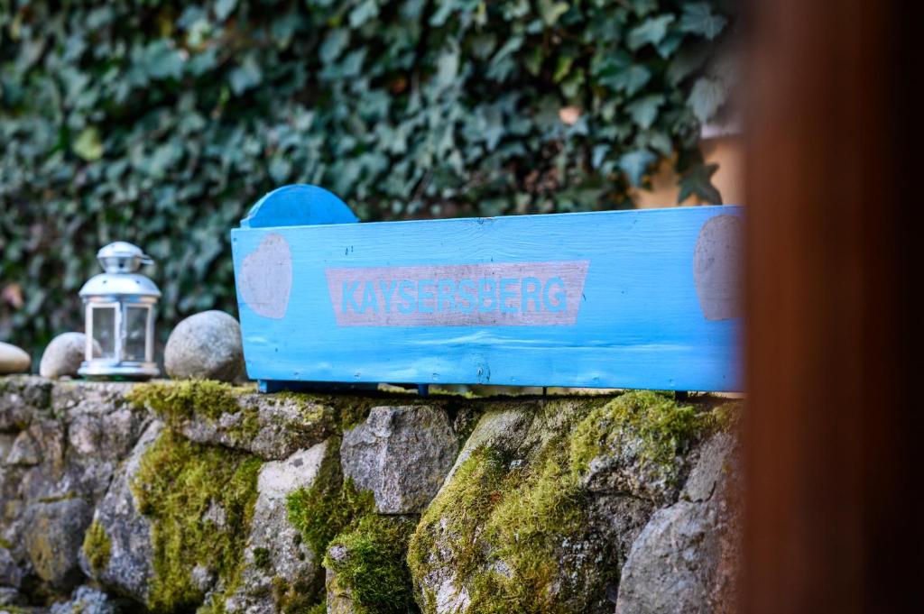 Gîte Au Bleuet À Kaysersberg - – photo 19