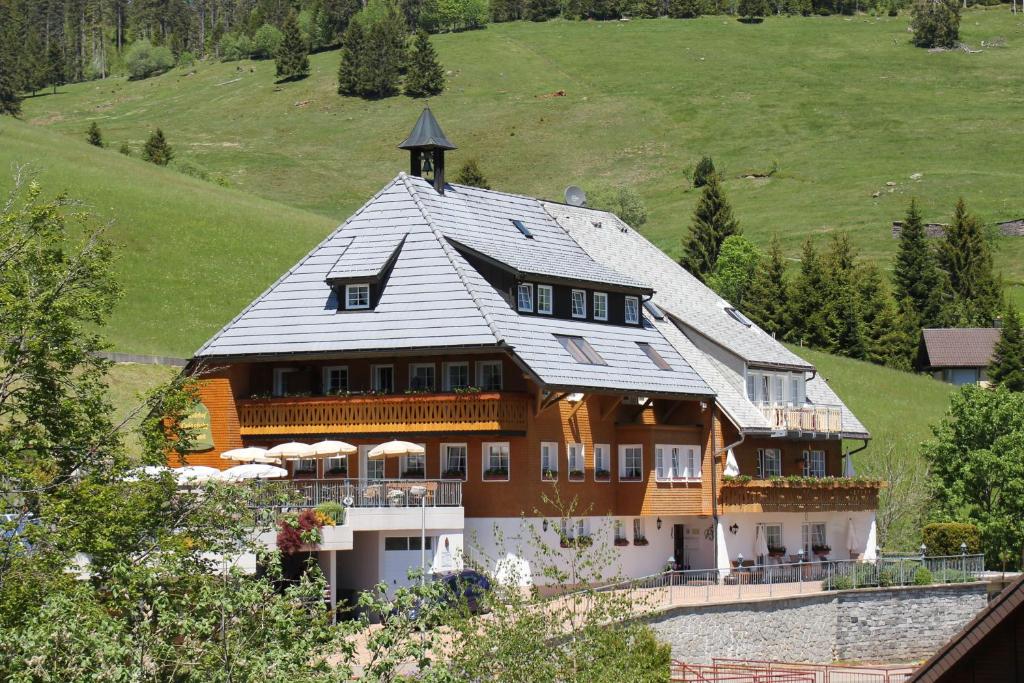 a large house with a metal roof on a hill at Glöcklehof in Todtnau