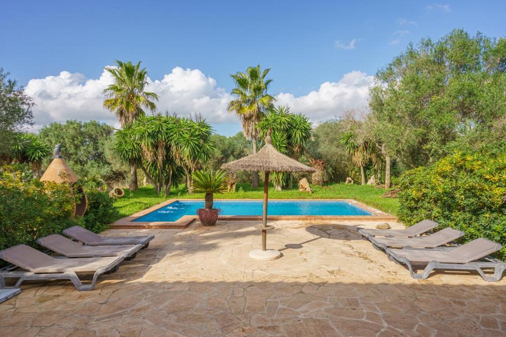 a pool with chaise lounge chairs and an umbrella at Son Barbudet in Campos